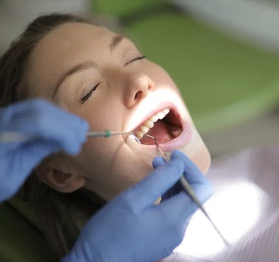 牙体牙髓专业